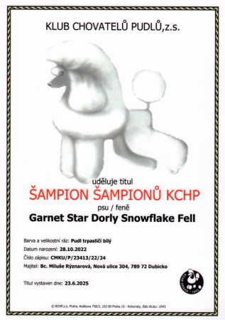 Šampion šampionů KCHP